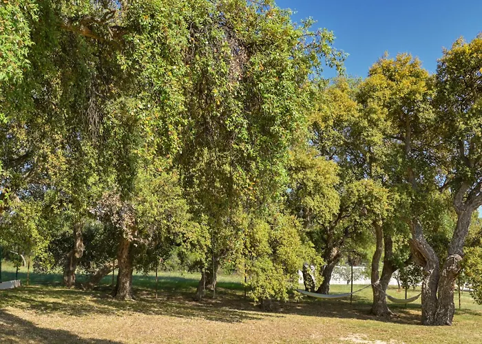 Montevernal By Interhome * بولا